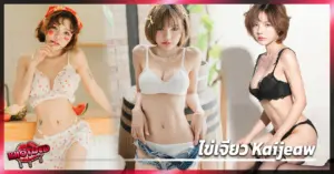 ไข่เจียว kaijeaw