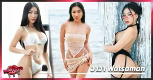 วาวา vevavalentine