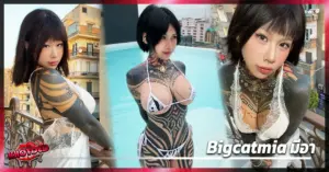 bigcatmia